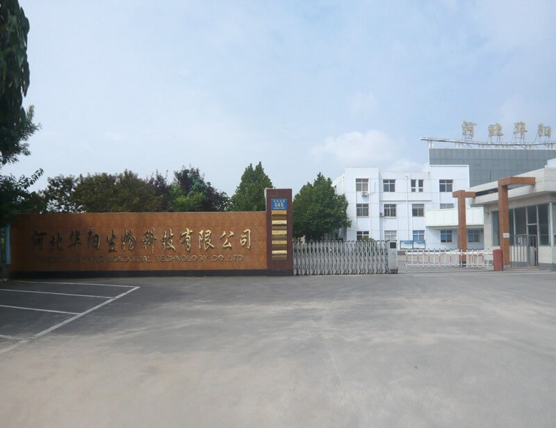 Hebei Huayang Biological Technology Co.,Ltd
