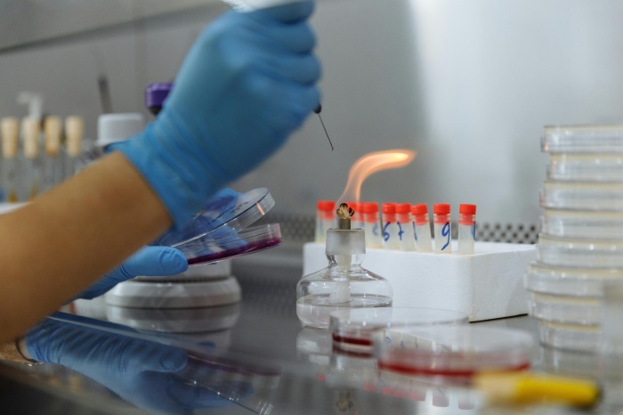 Hebei Huayang Biological Technology Co.,Ltd