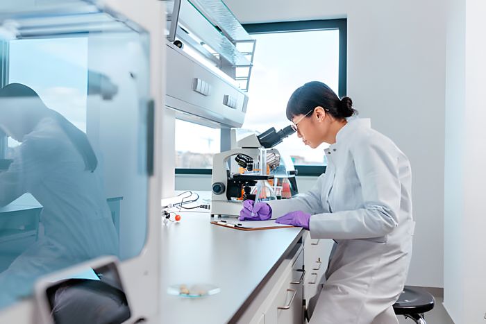 Hebei Huayang Biological Technology Co.,Ltd