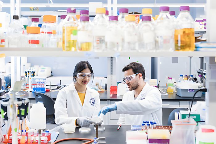 Hebei Huayang Biological Technology Co.,Ltd