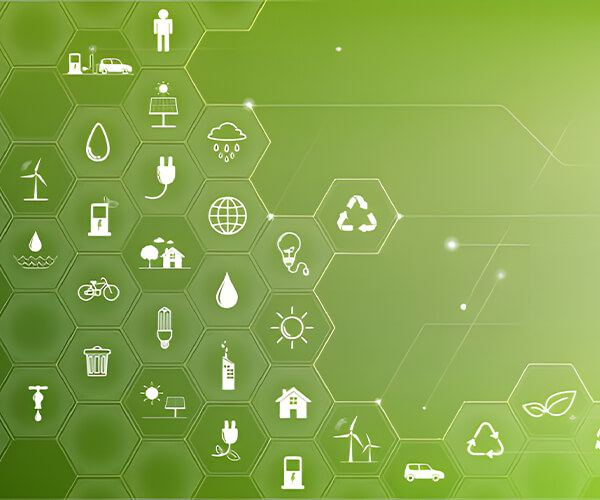 Hebei Huayang Biological Technology Co.,Ltd