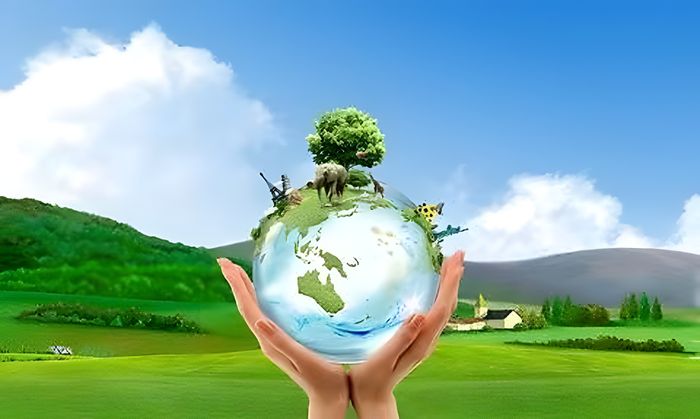 Hebei Huayang Biological Technology Co.,Ltd
